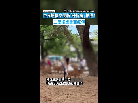 【網友氣炸】奈良短裙女硬騎「骨折鹿」拍照！　二度凌虐畫面瘋傳 thumbnail