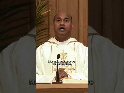 A Homily Moment with Father Roshan Loy D'Souza CSC thumbnail