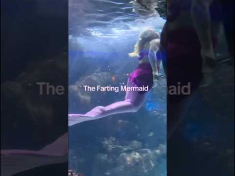 Une sirène pète dans l'eau 😳 thumbnail