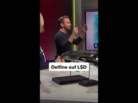 Delfine auf Drogen. Kein Witz. thumbnail