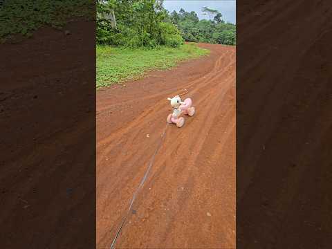 astaga kenapa sepedah dedw bayi jalan sendiri#trendingshorts thumbnail