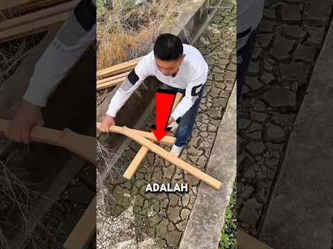 Jembatan Ini Bisa Kokoh Tanpa Penyanggah! 😱 thumbnail