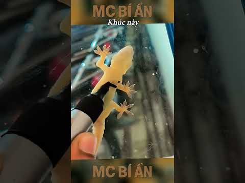 Bộ Đồ Đi Tắm Biển | E353 #mcbian thumbnail