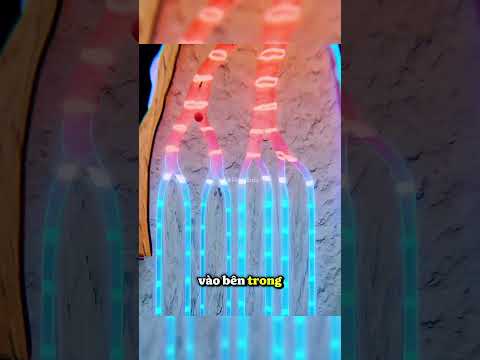 Kết cấu tuyệt vời || +1 kiến thức #khampha thumbnail