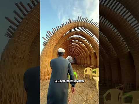 用蘆葦能蓋出一棟房子！#shorts | #紀錄片 #有趣  #creative thumbnail