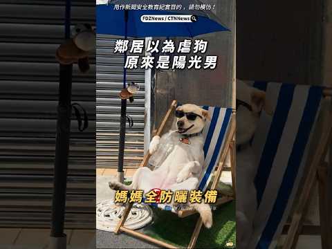 🟡鄰居原來是陽光狗狗! thumbnail