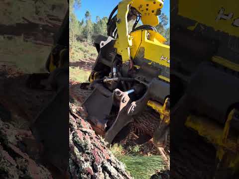Harvester 1270G: Power Meets Technology 🌲⚙️ #forest #harvester #johndeere #lumberjack #wood  #tree thumbnail
