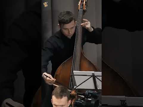 Tchaikovsky: Swan Lake Theme | Metamorphose String Orchestra thumbnail