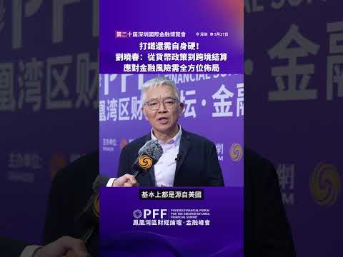 金融峰會｜打鐵還需自身硬！劉曉春：從貨幣政策到跨境結算，應對金融風險需全方位佈局 #鳳凰衛視 #鳳凰灣區財經論壇金融峰會 #鳳凰行天下 #PhoenixGoGlocal thumbnail