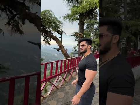 Dekho kitna masum bandar h #pawansahu #motivation #money thumbnail