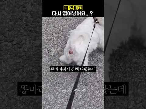 똥은 마려운데 똥스팟이 아닐때 thumbnail