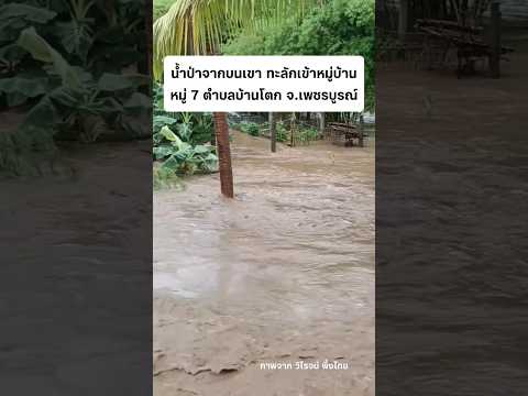 น้ำป่าจากบนเขาทะลักเข้าหมู่บ้าน 20/5/69 #น้ำท่วม #น้ำป่าไหลหลาก #หล่มสัก #เพชรบูรณ์ thumbnail