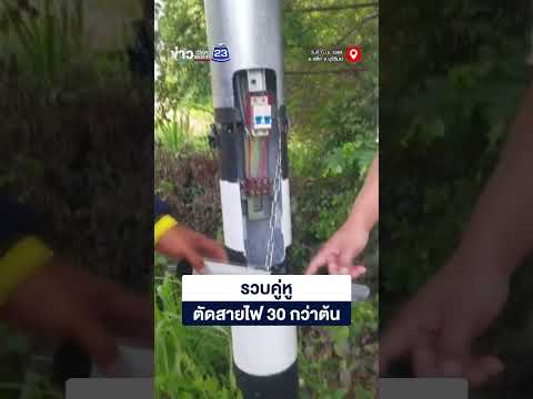 รวบคู่หูตัดสายไฟ 30 กว่าต้น thumbnail