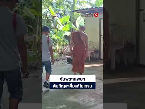 จับพระเสพยา ต้มกัญชาดื่มแก้ไมเกรน thumbnail