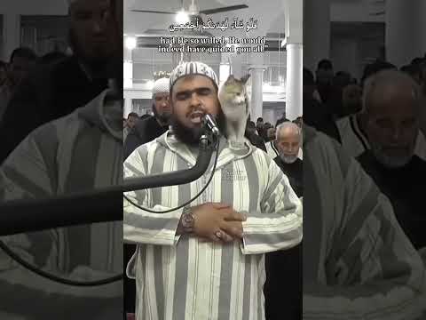 Ma Sha Allah😍Tabarak Allah thumbnail