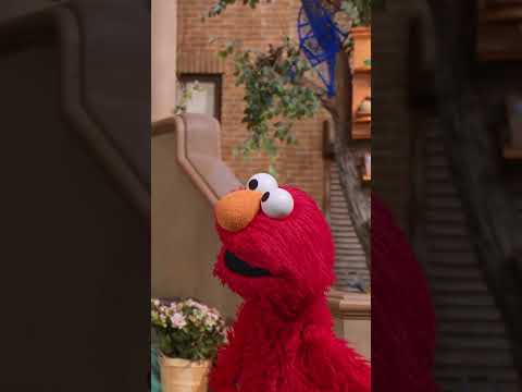I Spy with Elmo and Rosita! #sesamestreet thumbnail