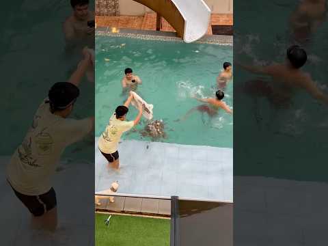 Last to leave sa swimming pool wins 100k 😂 watch the full video thumbnail