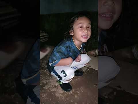 Siapa Yg Tw Cara Pemulihan Kaki Anjing Patah? Dedek Sdih Anjingnya Diikat. Mf Papa Bntu Uang Bnsin?? thumbnail