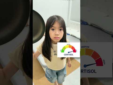 CCT - Cortisol levels. thumbnail