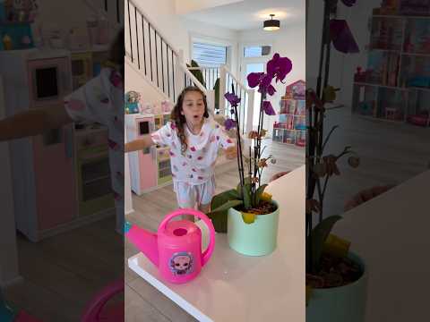 Kids learn to take care of plants thumbnail