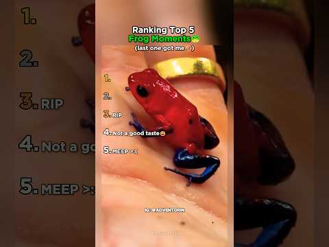 Ranking Top 5 Frog Moments You Have Never Seen thumbnail