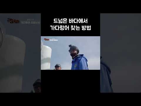 바다에서 새를 찾으면 찾을 수 있는 것 #shorts thumbnail