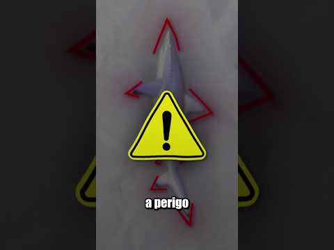 PORQUE O TUBARÃO DA MEDO E A ORCA NÃO? thumbnail
