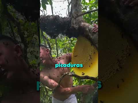 ES EL REY DE LAS ABEJAS!! 😨 thumbnail