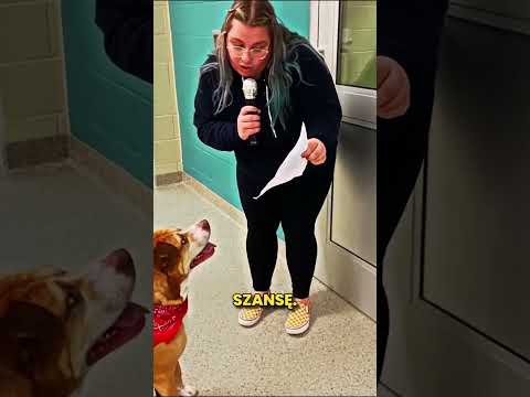 Ta Dziewczyna Sprawiła Ze Adoptowano Szczenia ?❤️ thumbnail