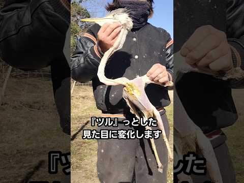 生臭い肉といったら？ #アオサギ thumbnail