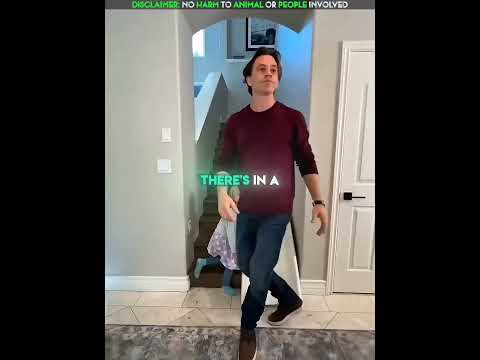 Dad Turned Stairs Into a Slide for His Daughter ?❤️ thumbnail