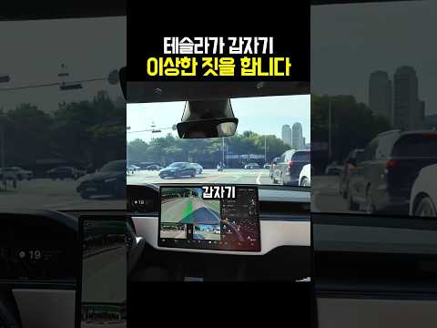 테슬라가 갑자기 이상한 짓을 합니다 thumbnail