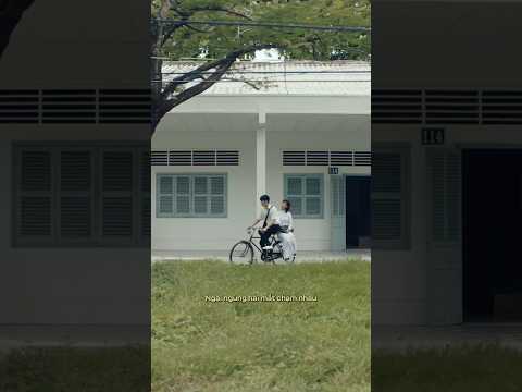 ‘Nắng Hoa Niên’ | ANH BỜ VAI - The Debut Album ⛅️ #vuongbinh #shorts thumbnail