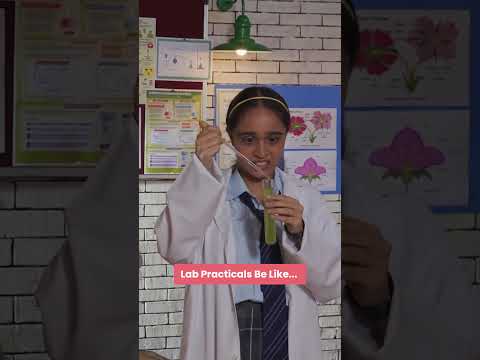 Lab Practicals Be Like... thumbnail