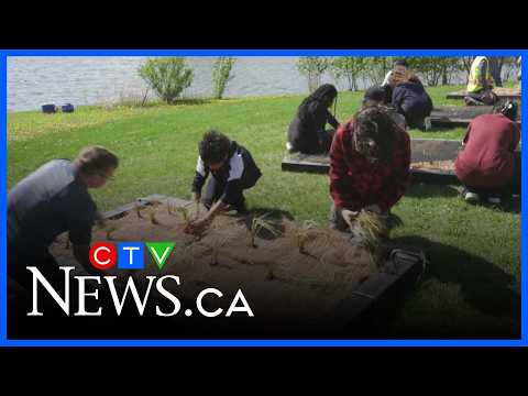 Regina students help improve Rochdale stormwater pond thumbnail