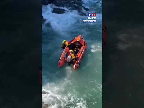 Les images du sauvetage spectaculaire d'un chien tombé d'une falaise ! ｜TF1 INFO thumbnail