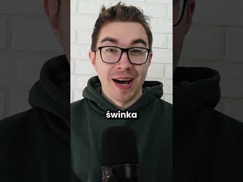 Ta świnka morska miała prawdziwe zadanie! thumbnail