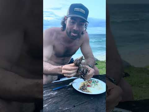 Eating FLYING FOX thumbnail