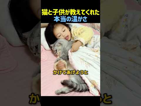 猫と子供が教えてくれた本当の温かさ? #猫 #動物 thumbnail