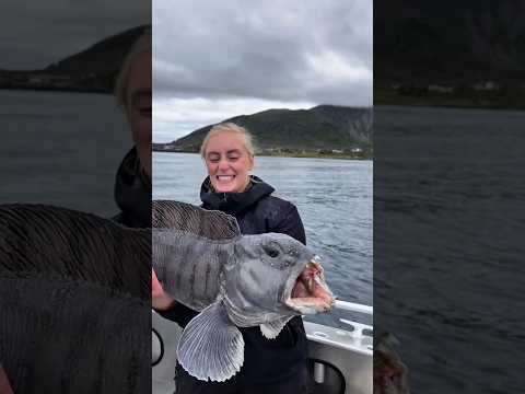 Meski Tersisa Kepala, Ikan Ini Tetap Bisa Membunuhmu! @jacobknowles5421 thumbnail