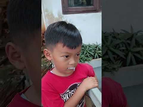Mama Ara Kaget Dedek & Temannya Blg Ada Bapak Ular Marah Cari Anak Ular Yg Mati Dikubur. Jgn D Kolam thumbnail