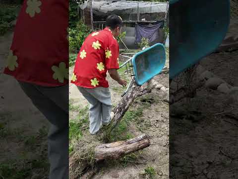 Đừng Hoảng Sợ Tôi Sẽ Đưa Bạn Qua Dung Nham #haongchu thumbnail