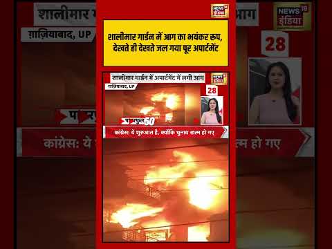 Shalimar Garden में आग का भयंकर रूप | #shorts #viralnews #viralvideo #fireincident thumbnail