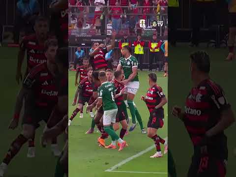 TEM UM INFILTRADO ALI NO MEIO DA TORCIDA DO BRASIL? 😳 thumbnail