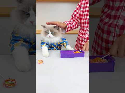 Magical Box! #thatlittlepuff thumbnail