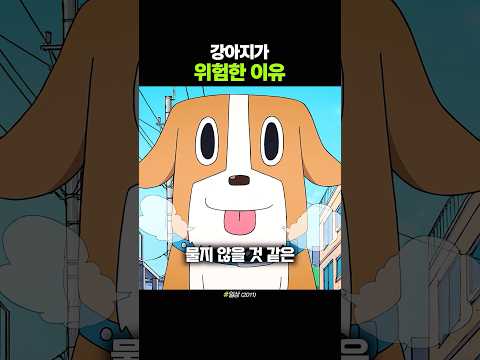 강아지가 위험한 이유 thumbnail