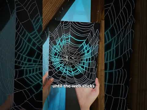 How To Preserve A Spider Web ? thumbnail
