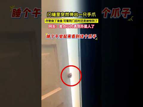 門縫裡突然伸出一隻手爪，儘管做了準備，可看到門後時還是被驚到了，網友：差點以為遇到外星人了！#shorts thumbnail