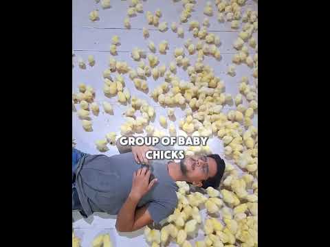 He Became The Chick Magnet ? thumbnail