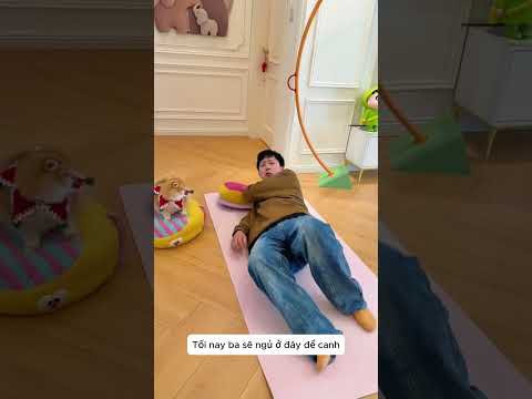 âm mưu đuổi chú mèo cưng ra khỏi nhà thumbnail